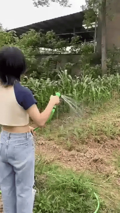 La manguera lavando y regando, y luego recogida